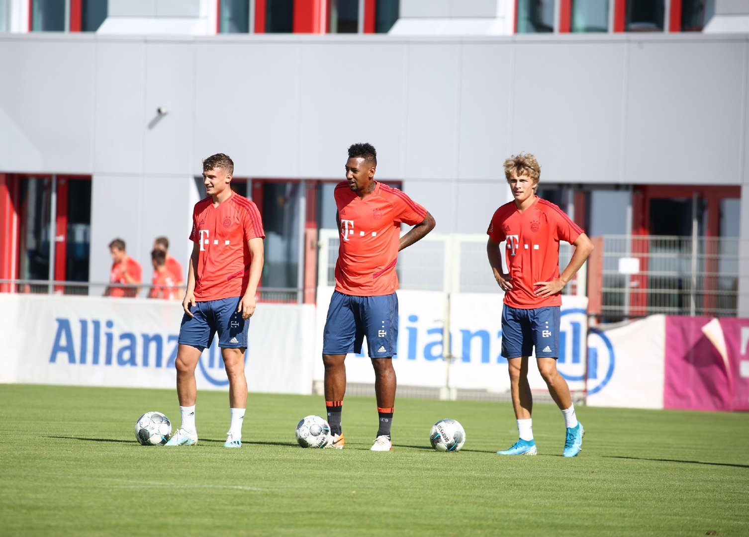 动物油熬炼设备