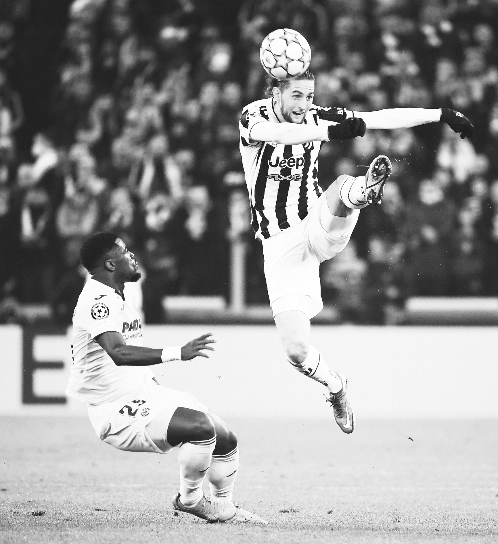 影响油脂吸附脱色的因素