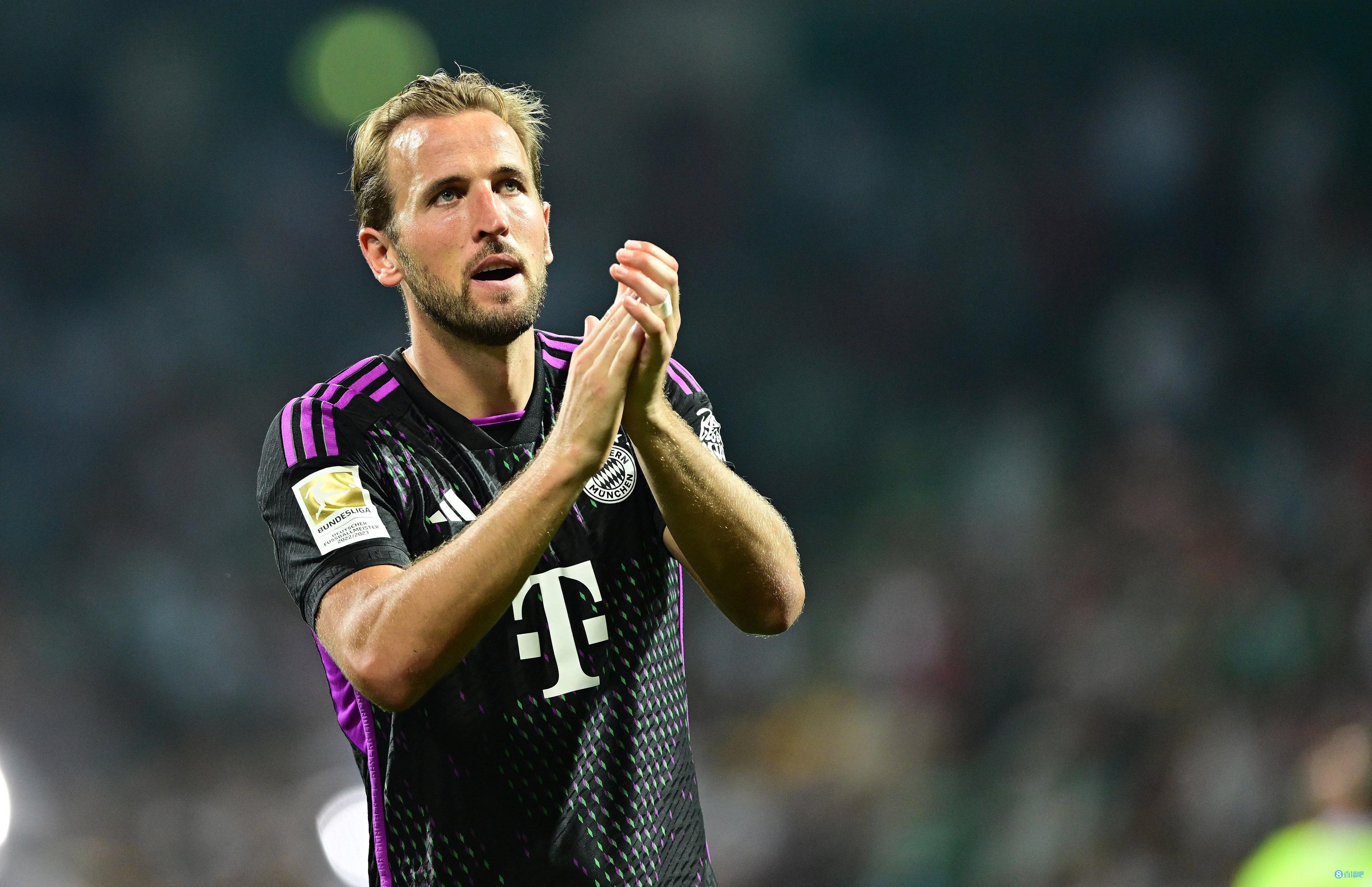 葵花籽榨油机设备