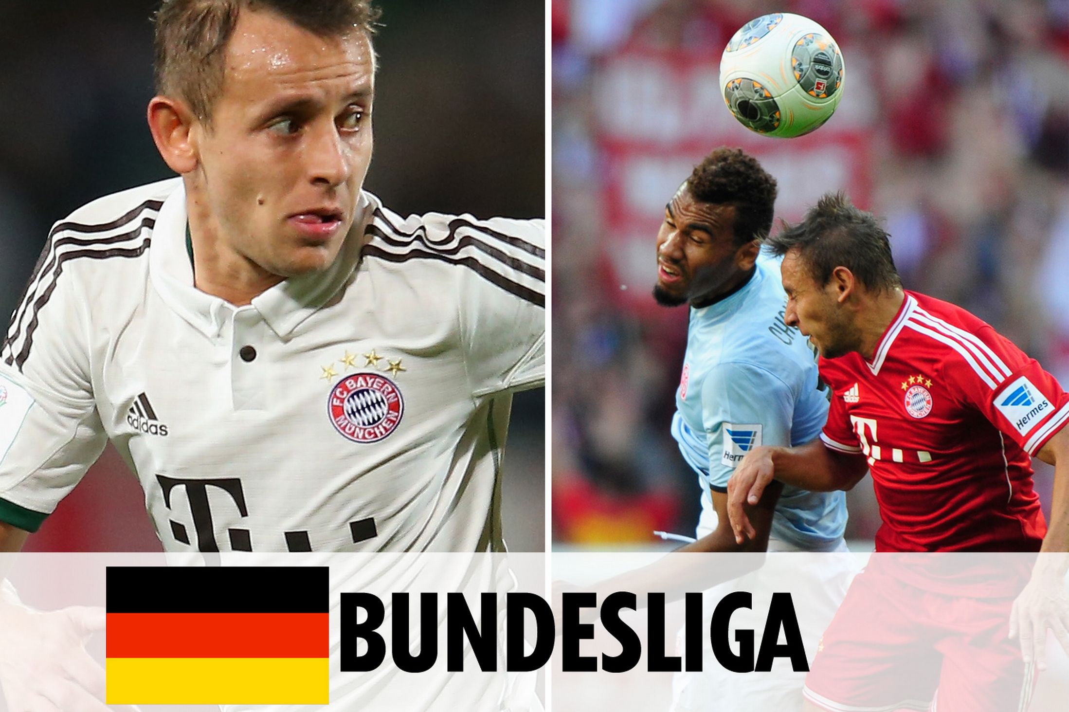 动物油熬练的工艺流程？一图带你解读