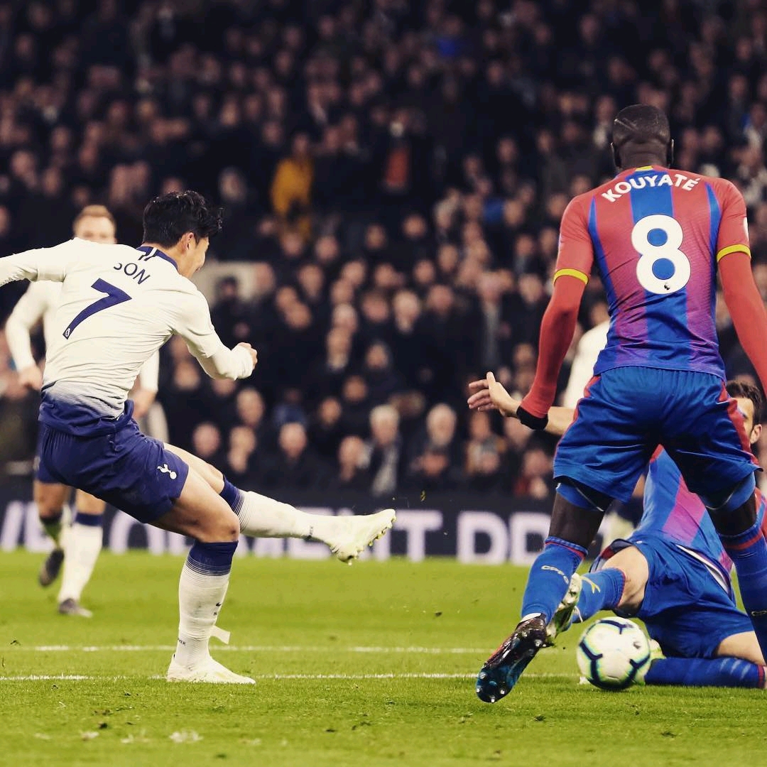 葵花籽脱蜡生产线